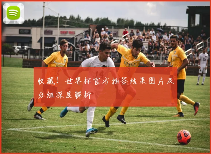 收藏！世界杯官方抽签结果图片及分组深度解析