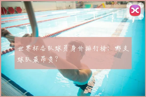 世界杯各队球员身价排行榜:哪支球队最昂贵?